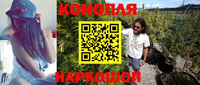 МДПВ Заводоуковск