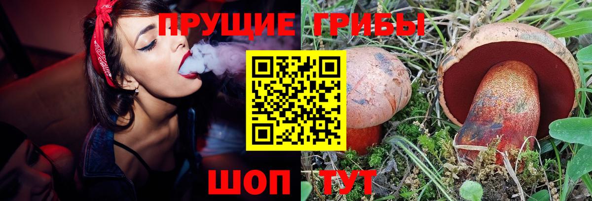 Балашов  где продают   Вход с VPN  Псилоцибиновые грибы мухоморы 